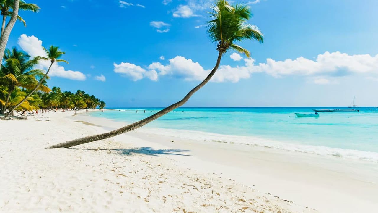 Saona Island Delights Tour from Punta Cana / Bavaro