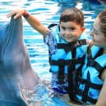Punta Cana: Dolphin Discovery Swims and Encounters