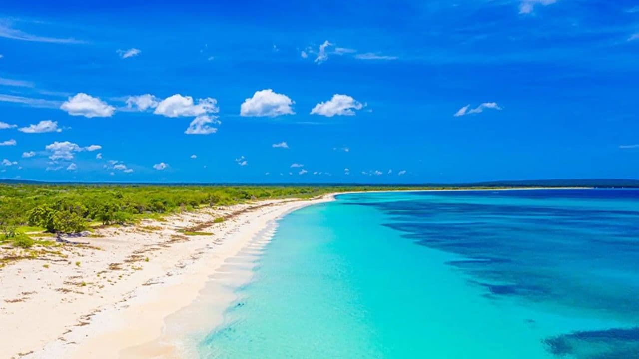 Bahía de las Águilas + Laguna de Oviedo ¡TODO INCLUIDO!