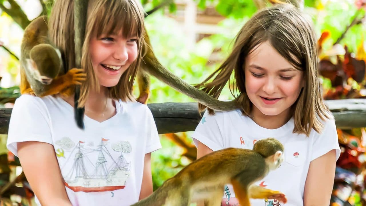 Punta Cana: Monkeyland a prehliadka plantáží - Photo 2 (Gallery view)