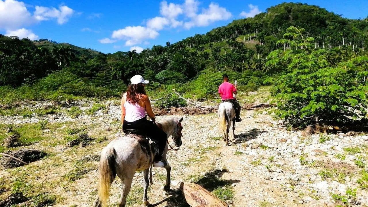 From Puerto Plata: Horseback ride along the mountain river - Photo 5 (Gallery view)