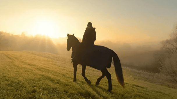 Punta Cana: Sunset Horseback Ride in Macao Beach and Forest - Photo 4 (Gallery view)