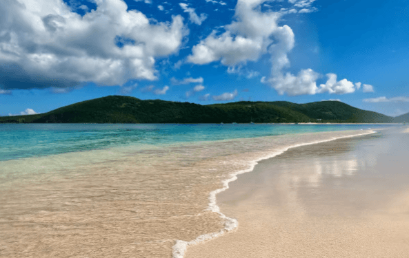 Z Fajardo: nurkowanie łodzią motorową Culebra i wycieczka na plażę - Photo 5 (Gallery view)
