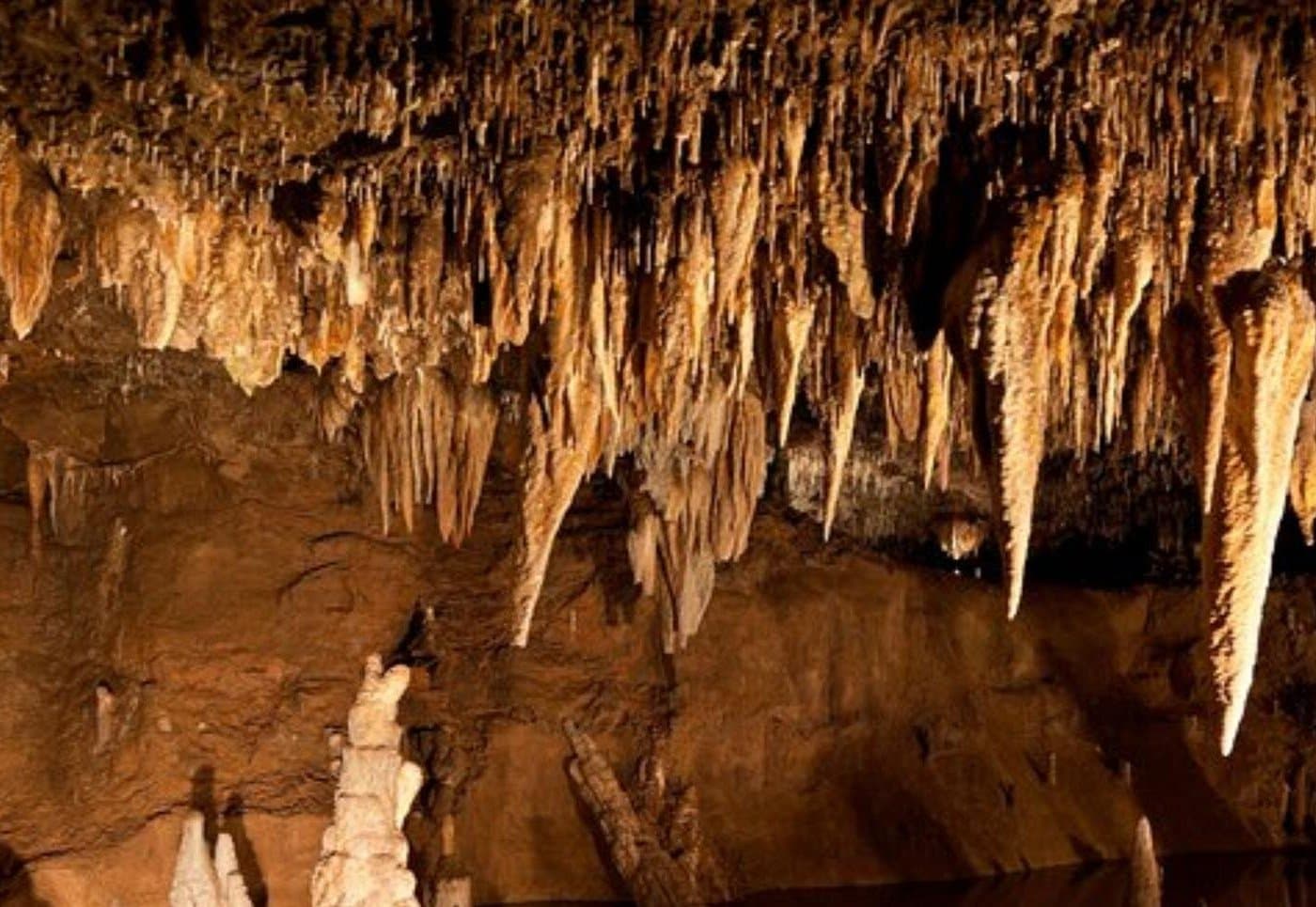 Green Grotto Caves Tour From Ocho Rios