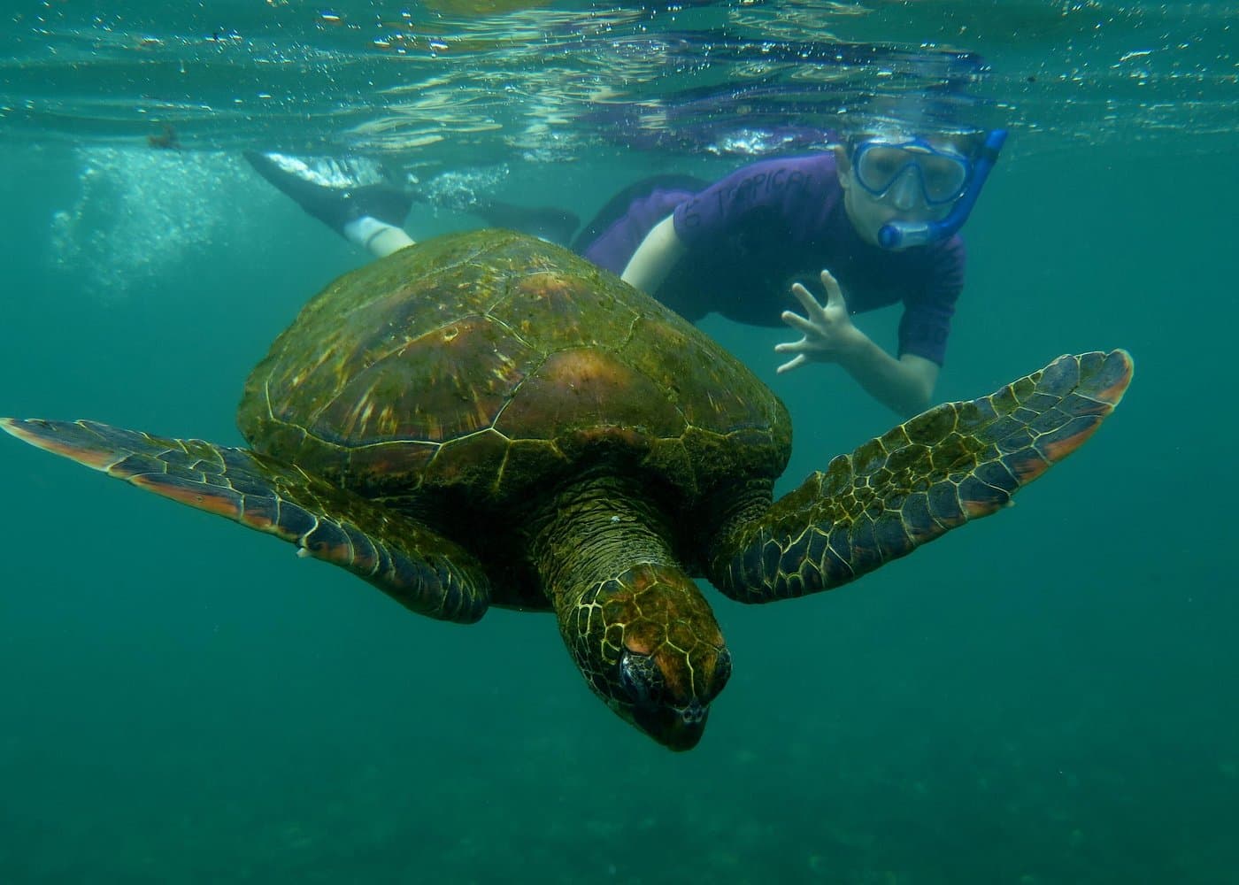 Day tour to Pinzón Island and La Fé/Palmitas Bay with snorkeling and fishing
