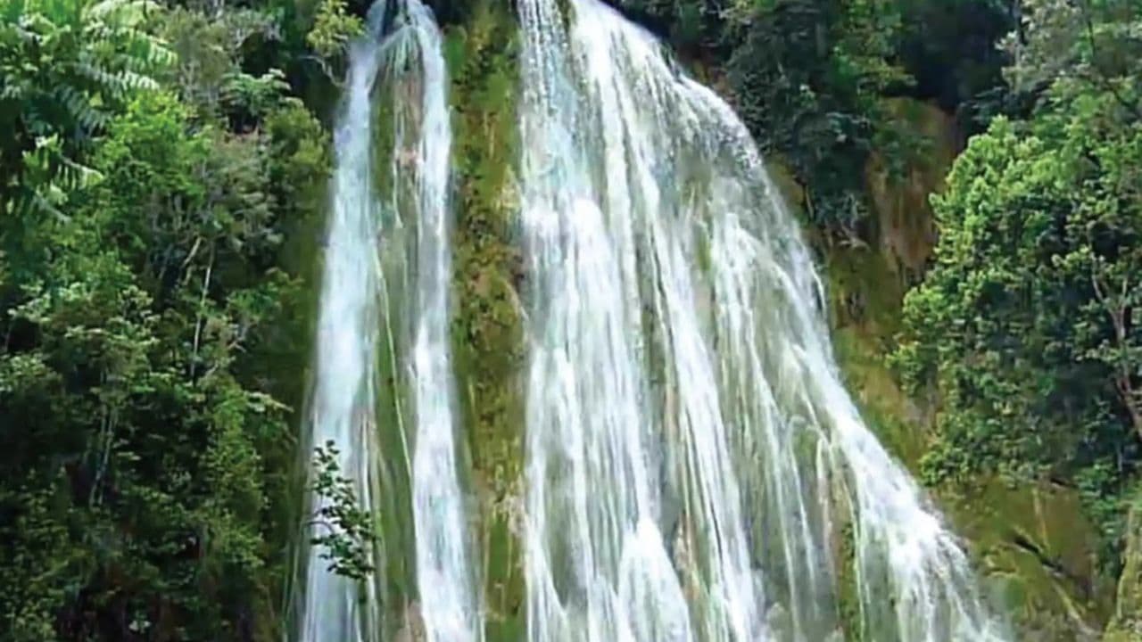 Punta Cana: Samana with Waterfall & Bacardi Island Day Trip