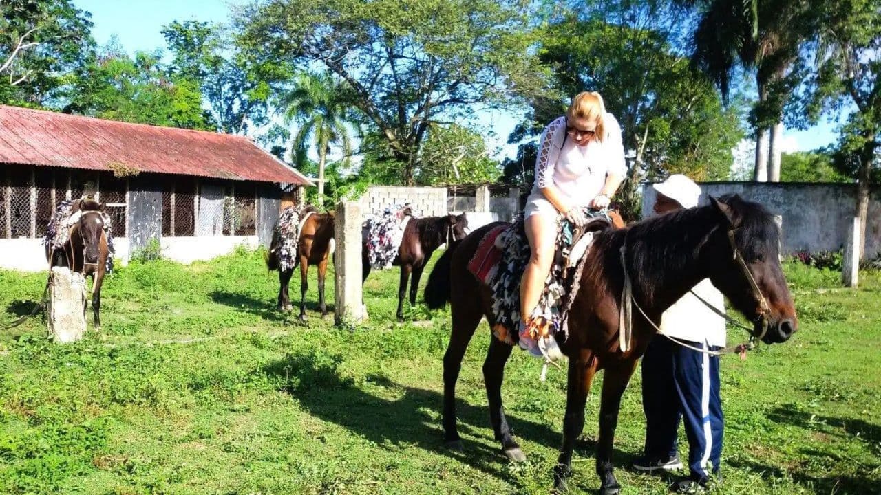 From Puerto Plata: Horseback ride along the mountain river - Photo 2 (Gallery view)
