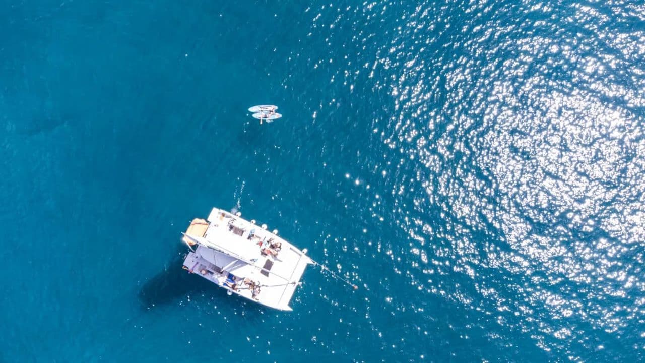 Private Catamaran Crusie, snorkeling, lunch & water slide