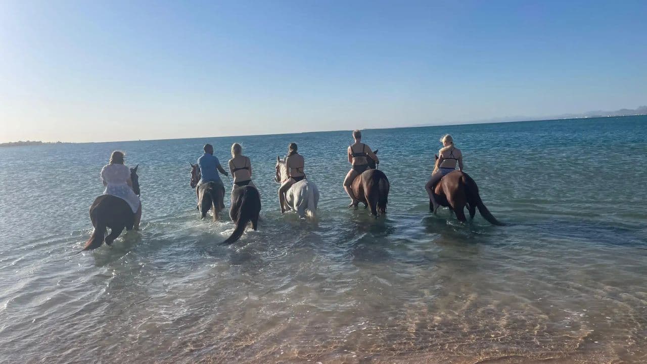 2hour horseback riding adventure on the beach jungle & river
