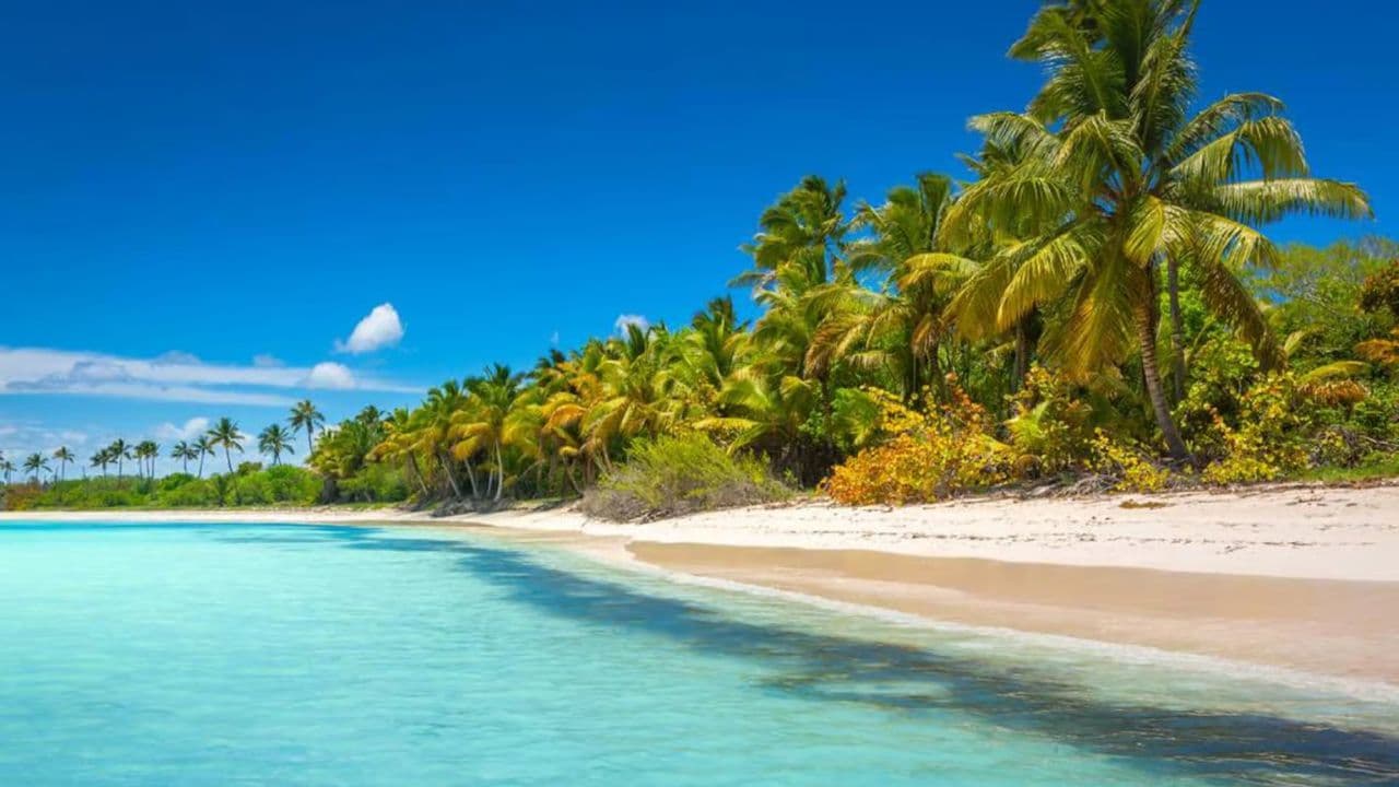Full-Day Saona Island Tour by Speedboat