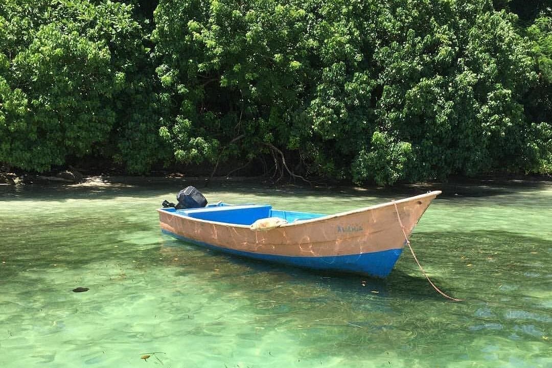 Bacardi Island (Cayo Levantado) Day Pass