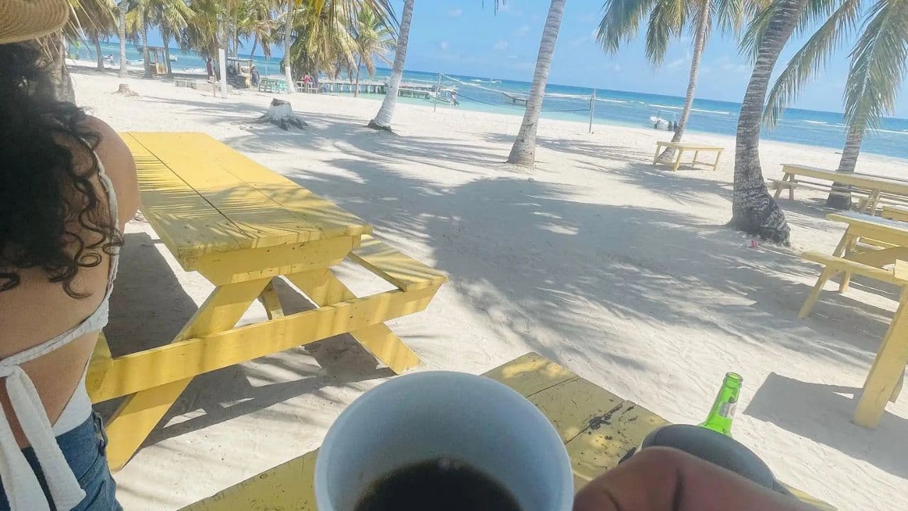 Croisière d'une journée complète sur l'île Saona au départ de Saint-Domingue avec déjeuner - Photo 2 (Gallery view)