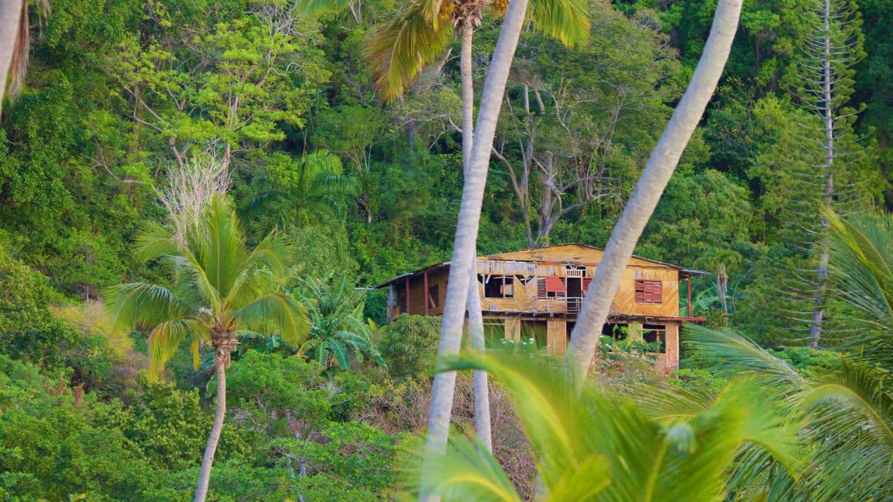 Juan Dolio: Samana, El Limon Waterfall and Cayo Levantado - Photo 3 (Gallery view)
