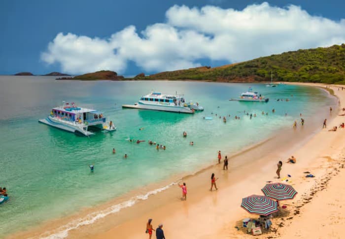 Von Fajardo: Culebra Schnorchel- und Strandtour mit Mittagessen - Photo 3 (Gallery view)