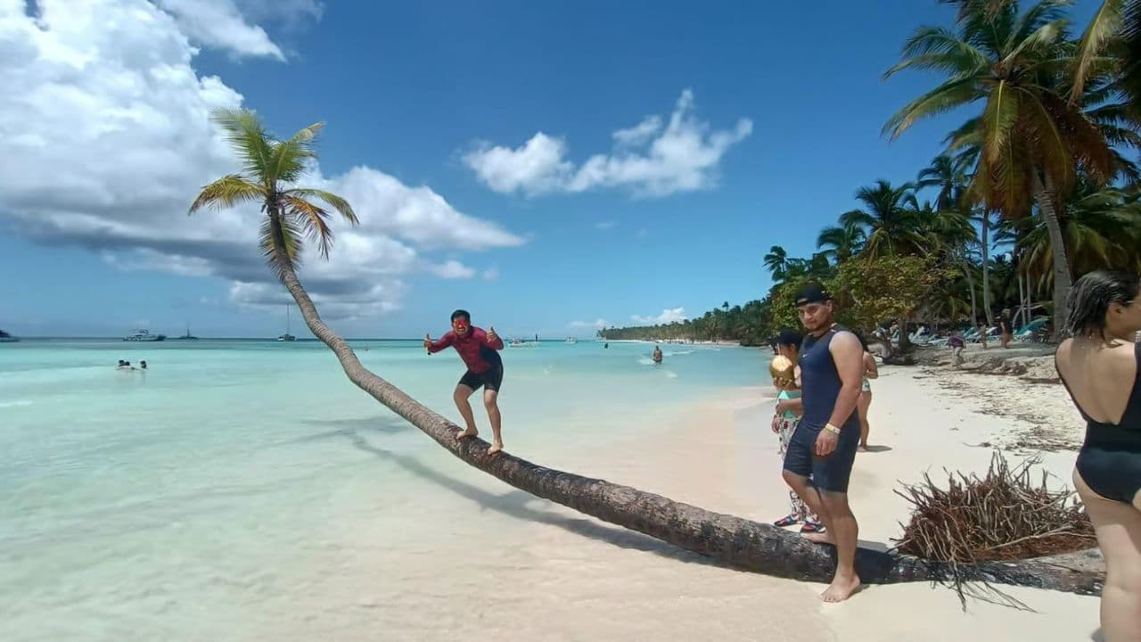 Aventura Eksotik nan Isla Saona: Paraiso en la Piscina Natural - Photo 5 (Gallery view)