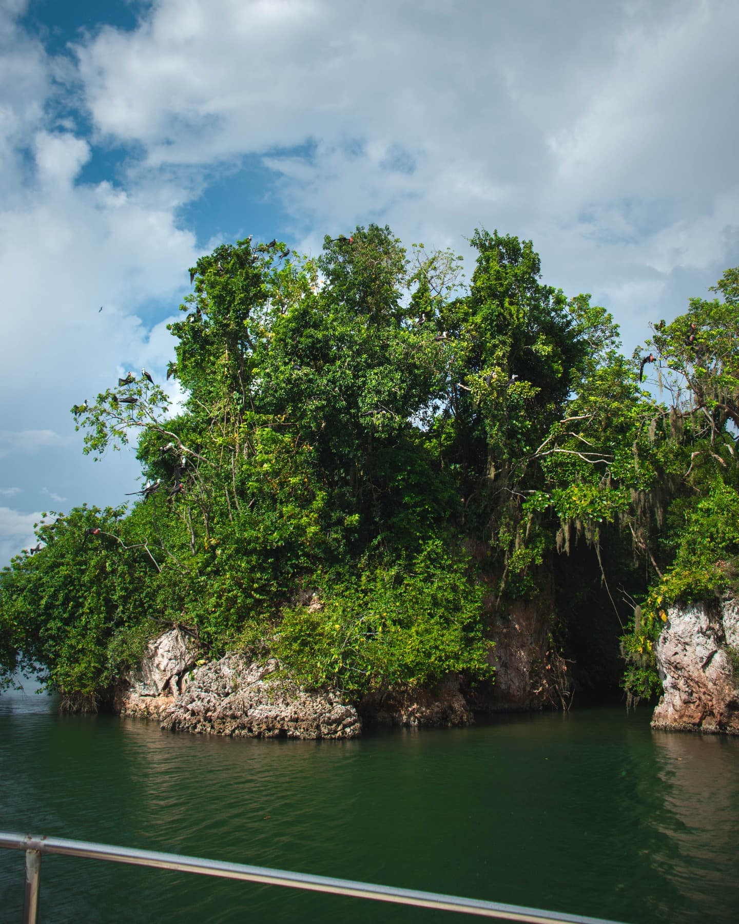 Samana: Tagestour zum Nationalpark Los Haitises und Caño Hondo - Photo 2 (Gallery view)