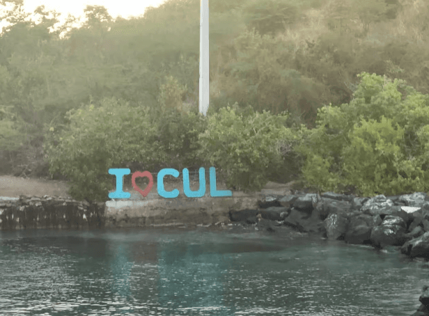 San Juan: Round Trip Transport to the Ceiba Ferry Terminal - Photo 3 (Gallery view)