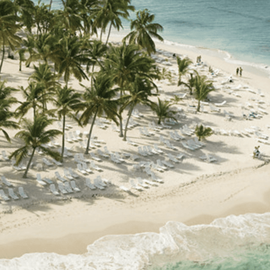 From Punta Cana: Samana Cayo Levantado & Whales - Photo 2 (Gallery view)