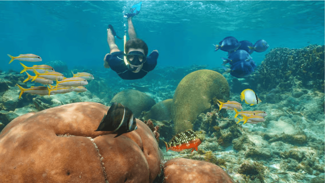 Isla Catalina Todo Incluido: Snorkel, Playa Tropical y Almuerzo Buffet - Photo 3 (Gallery view)