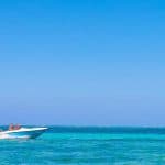 Punta Cana: Speedboat and Snorkeling Tour with Hotel Pickup - Photo 4 (Gallery view)