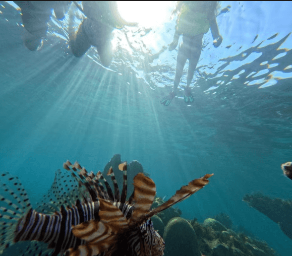 Snorkelling at Coral Beach + Saturn Cave - Photo 5 (Gallery view)