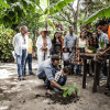 Cocoa Trail & Making of Chocolate Tour from Santo Domingo