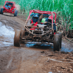 从巴亚希贝出发：半日拉罗马纳 ATV 或 4X4 越野车之旅 - Photo 3 (Gallery view)