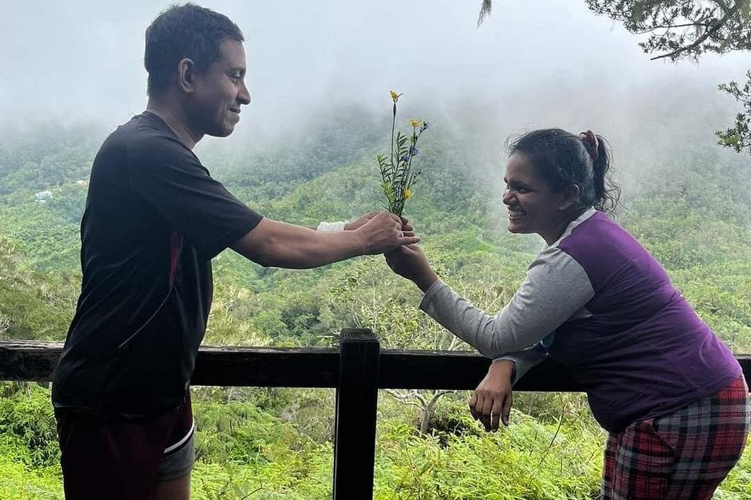 Blue Mountain Highlights Experience