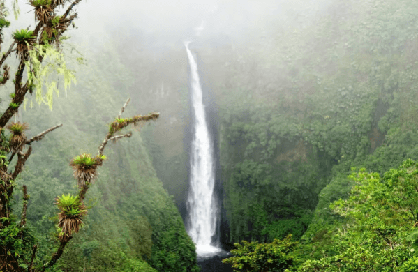 San José: Arenal Volcano, Waterfalls, Coffee and Hot Springs - Photo 5 (Gallery view)