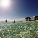 Cayo Arena: Paradise Island and Mangroves Tour