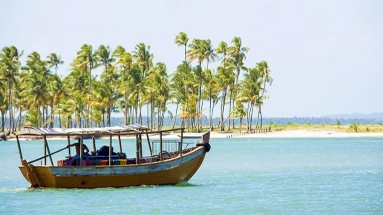 Private Transfert Punta Cana Airport to Bahia P. Fantasia
