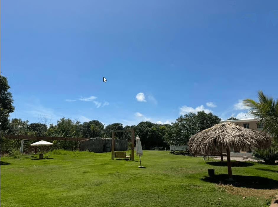 Monkey House VIP – Experiencia exclusiva en Punta Cana - Photo 5 (Gallery view)