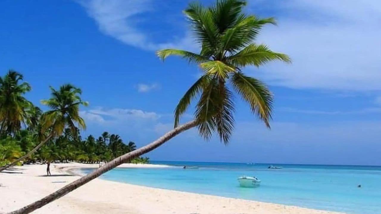 All-Inclusive Saona Island Day Trip from Punta Cana