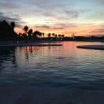 Punta Cana: Dolphin Discovery Swims and Encounters - Photo 3 (Gallery view)