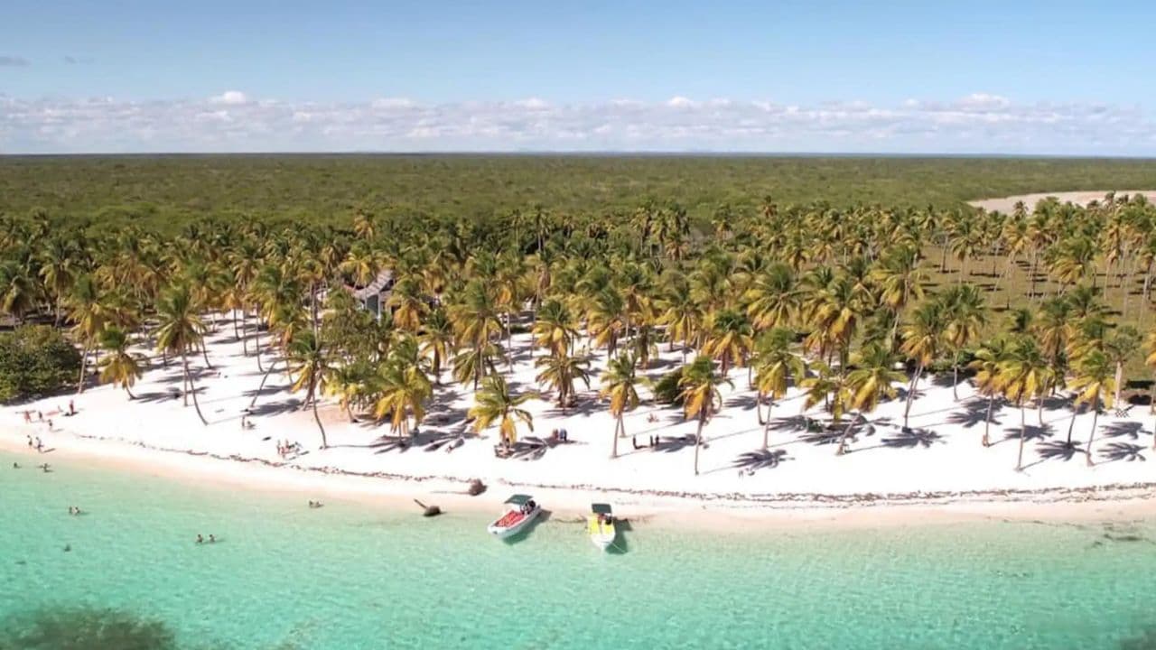 Punta Cana: Isla Saona Day Trip with Catamaran Party