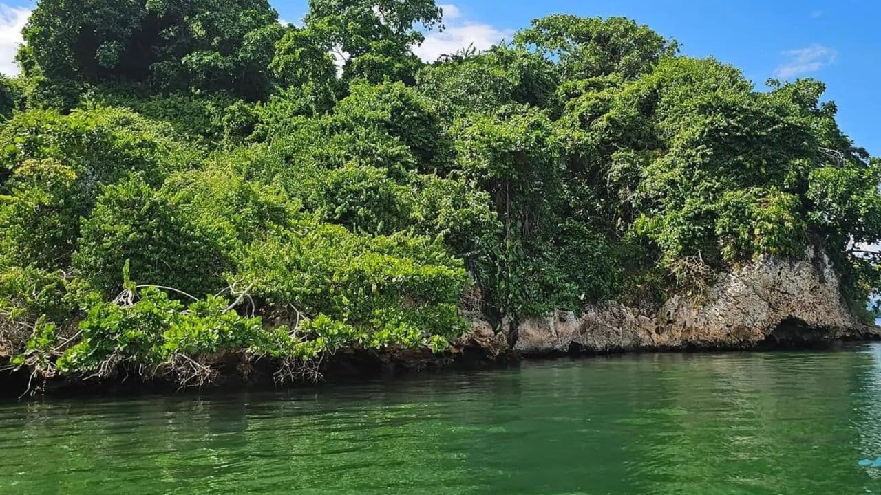 3-in-1: Los Haitises w/ Montaña Redonda & Yanigua Waterfalls