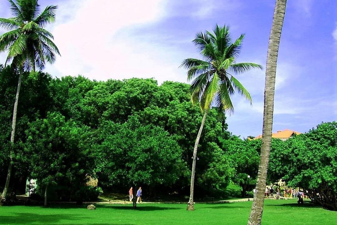 Bacardi Island (Cayo Levantado) Day Pass