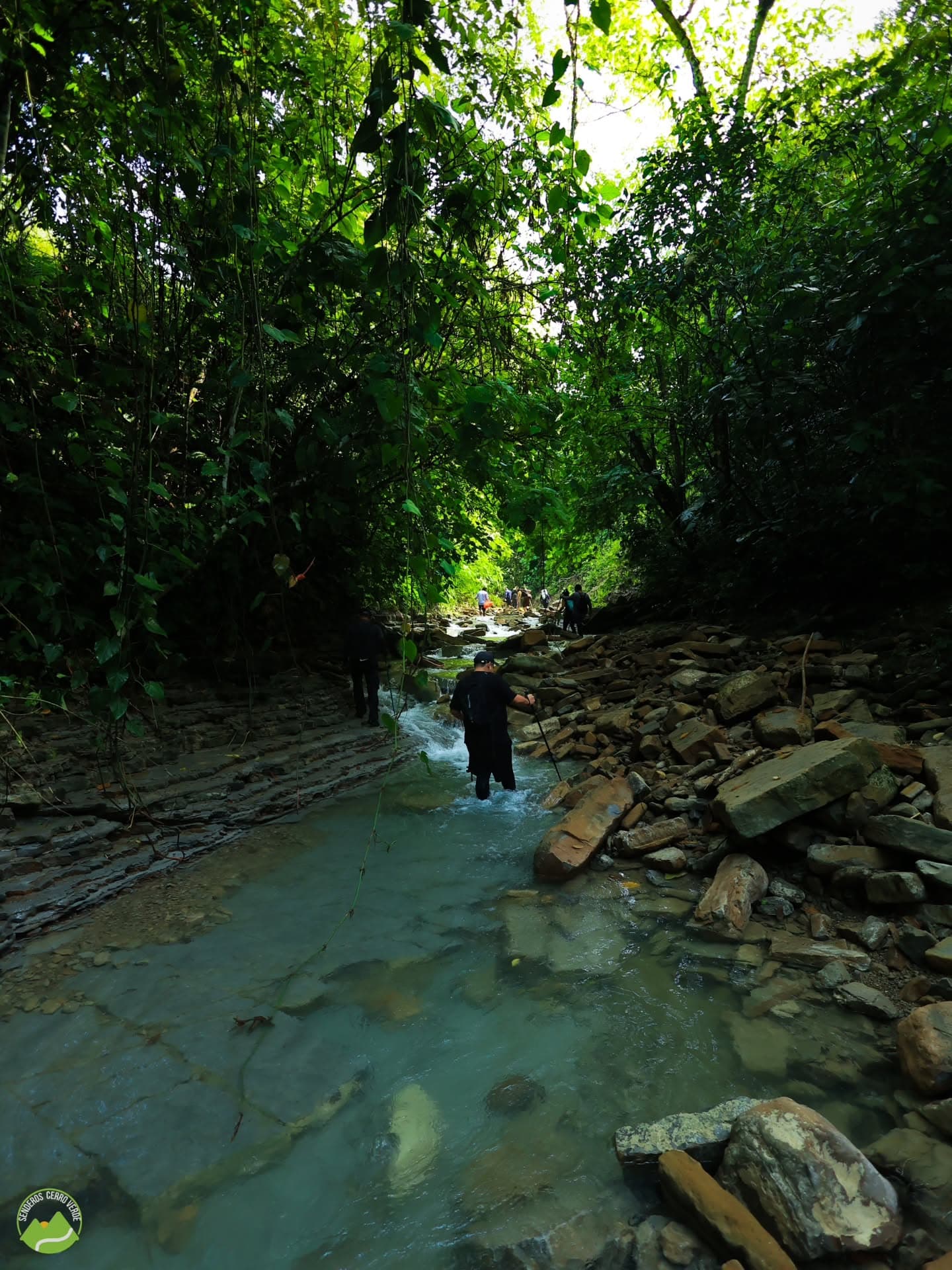 Punta Cana: Los Haitises National Park Hiking and Kayaking - Photo 3 (Gallery view)