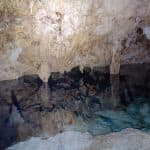Bayahibe: National Park Jungle Walk & Snorkeling in Cenotes