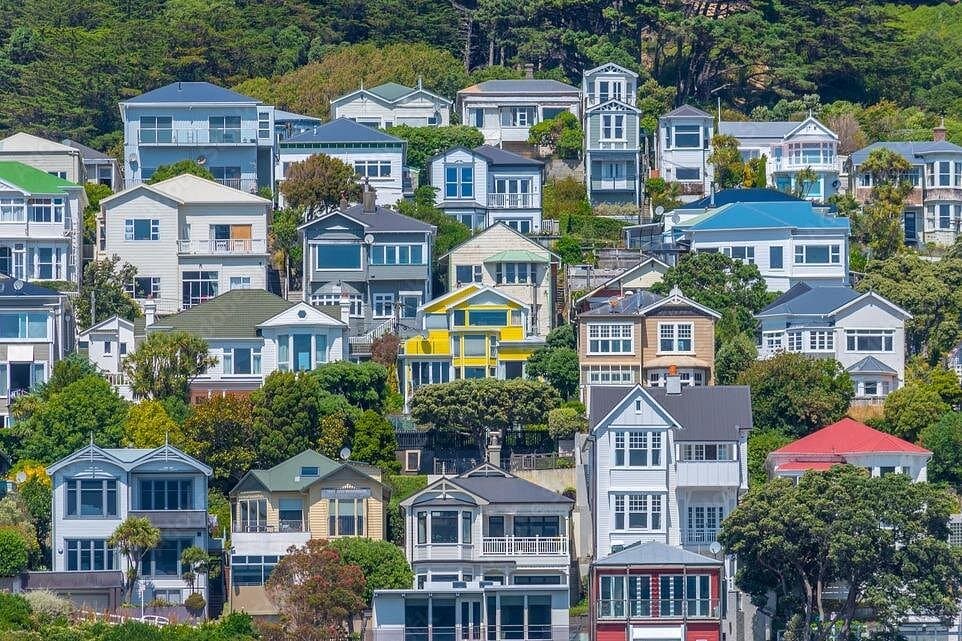 Guided Small Group Walking Tour in Wellington