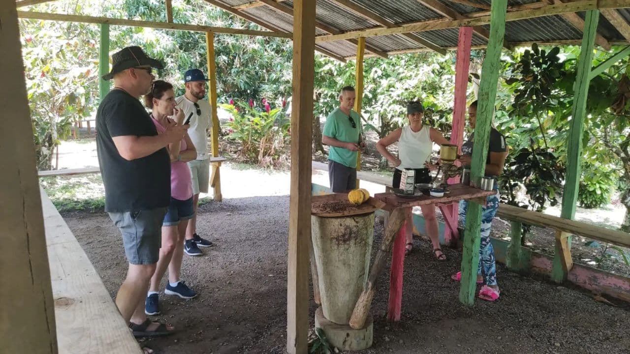 Small Group: Half Day Dominican Republic Cultural Tour