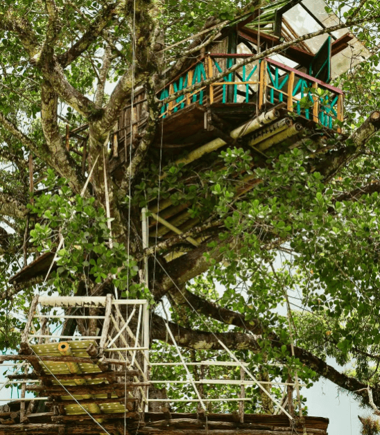 Punta Cana: 3-in-1 Adventure Haitises Park Waterfall Montaña - Photo 3 (Gallery view)