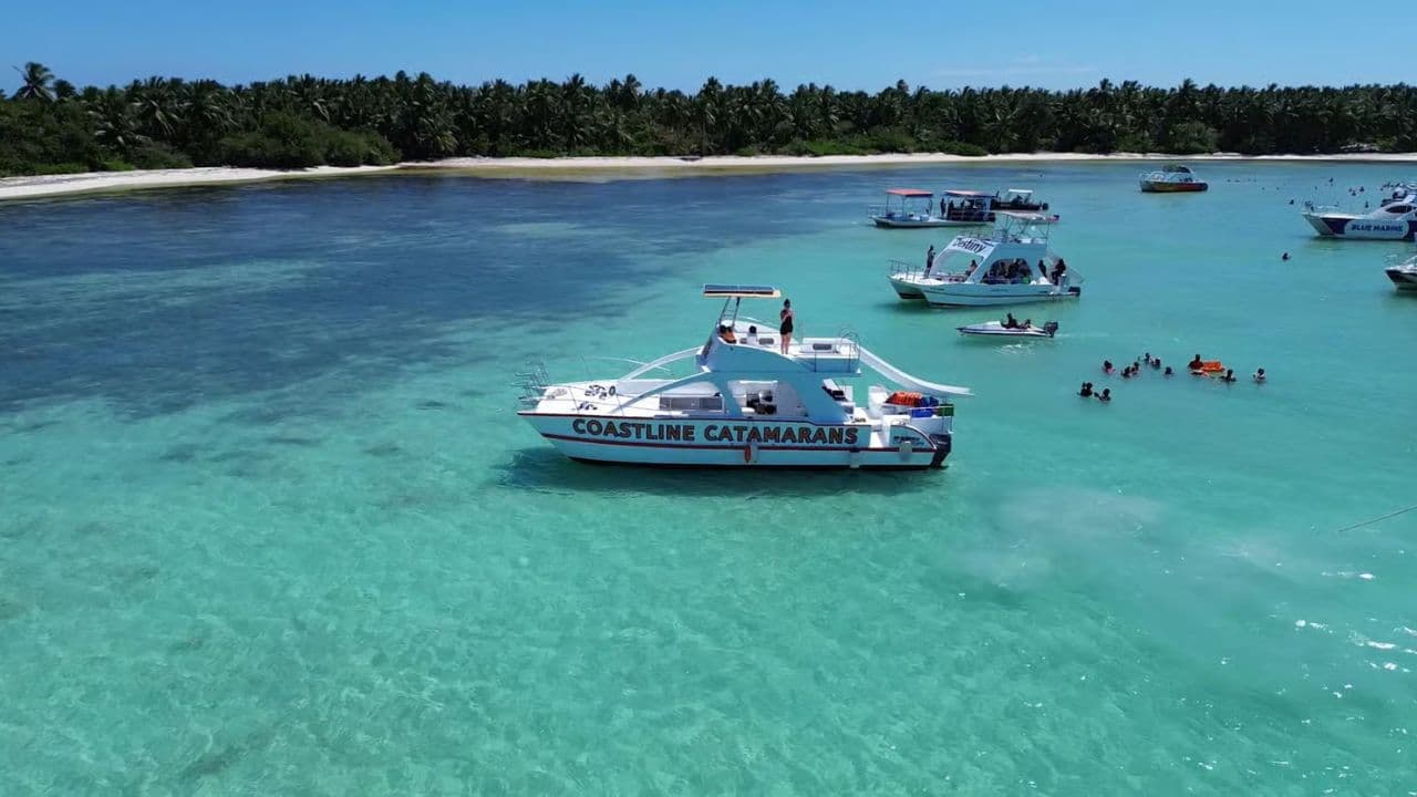 Punta Cana :Catamaran with Open Bar and Dolphin and Stingray Watching - Dominican Republic