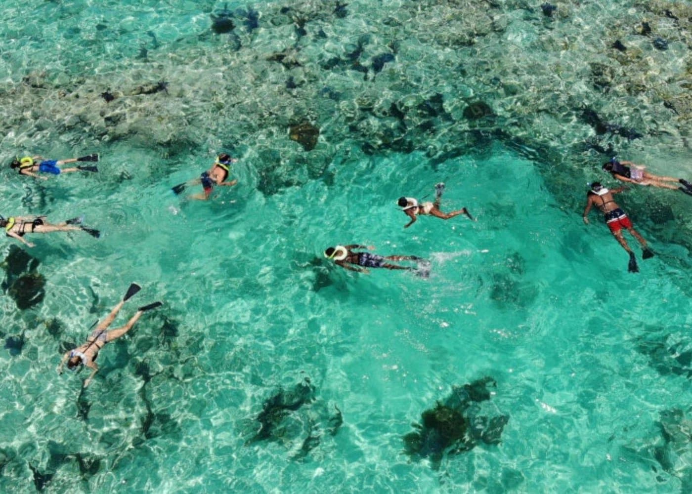 Key West Day Trip with Optional Upgrade from Fort Lauderdale