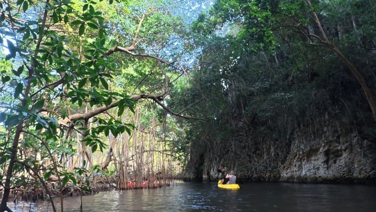 Samana: 4 Hrs ATV Tour Transportation Included