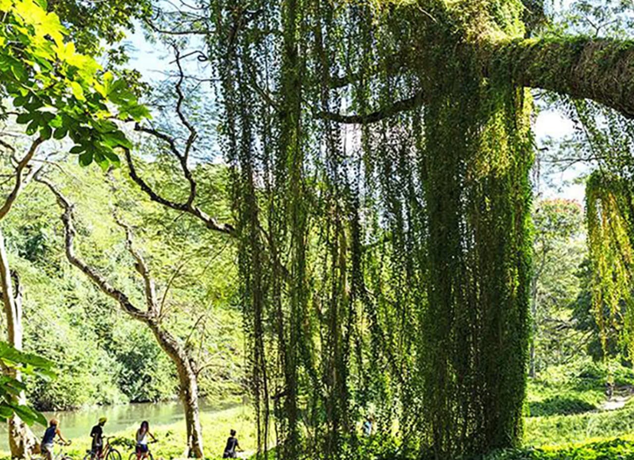 Havana Enchanted Forest Bike Tour