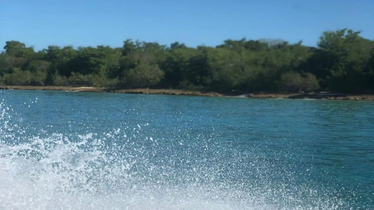 Party Boat Cruise with Snorkeling and Natural Pool