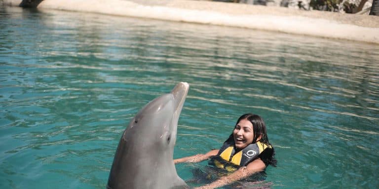 Puerto Plata Ocean World Nado con Delfines - Photo 2 (Gallery view)