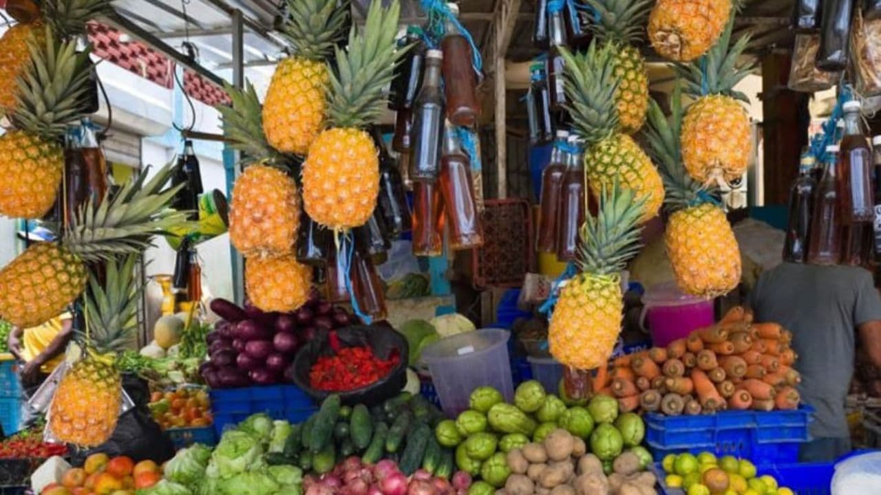 Z Punta Cana: Poldenná kultúrna prehliadka Dominikánskej republiky - Photo 3 (Gallery view)