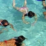 Santo Domingo: Catamaran with Snorkel, Open Bar and Lunch